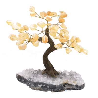 Handmade tree with leaves of natural baroque citrine quartz gemstones and rough amethyst base. The tree has a height of 16.5cm. Buy online shop.