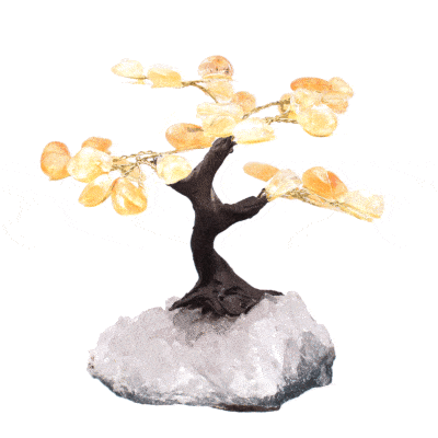 Handmade tree with leaves of natural baroque citrine quartz gemstones and rough amethyst base. The tree has a height of 11cm. Buy online shop.