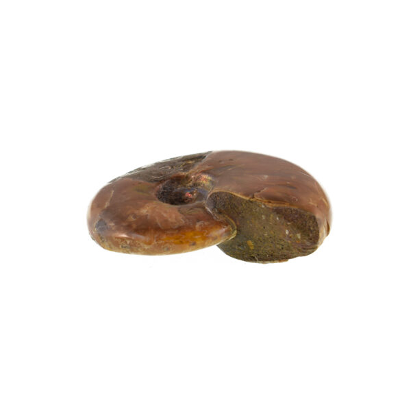 Fire Opal Cleoniceras Besairei Ammonite 6cm - Image 4