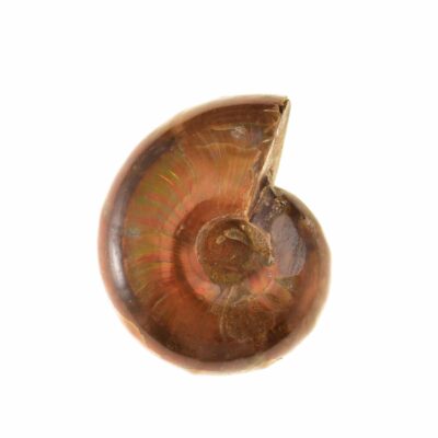 Talosgems, αγοράστε online κοσμήματα, φυσικές πέτρες ακατέργαστες και κατεργασμένες