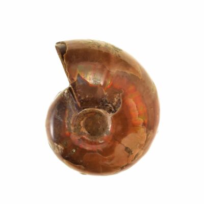 Talosgems, αγοράστε online κοσμήματα, φυσικές πέτρες ακατέργαστες και κατεργασμένες