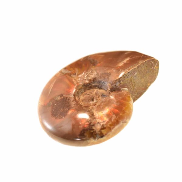 Fire Opal Cleoniceras Besairei Ammonite 5cm - Image 3
