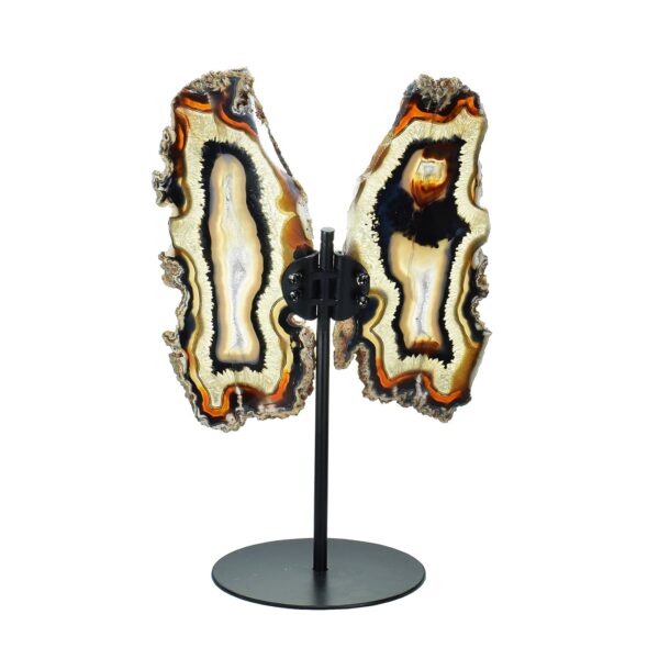 Butterfly with polished wings made of Agate, placed on a metallic base. The butterfly has a height of 36cm. Buy online shop.