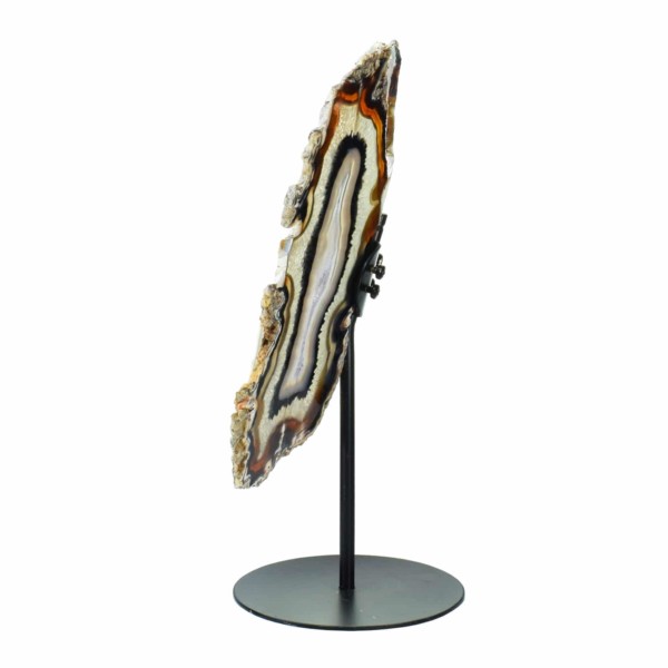 Butterfly with polished wings made of Agate, placed on a metallic base. The butterfly has a height of 36cm. Buy online shop.