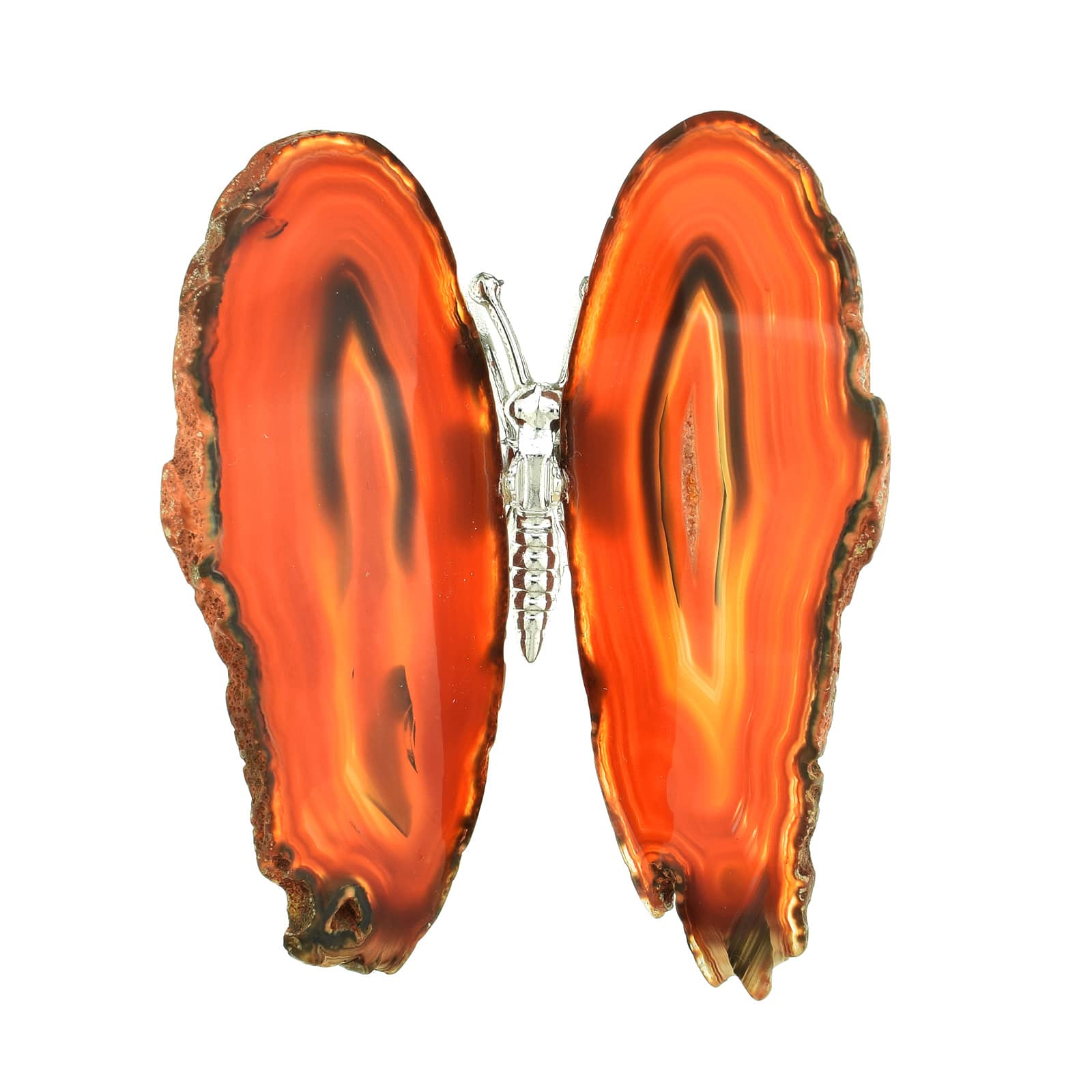 Πεταλούδα με σώμα από επαργυρωμένο μέταλλο και γυαλισμένα φτερά από καφέ Αχάτη, μήκους 11,5cm. Αγοράστε online shop.