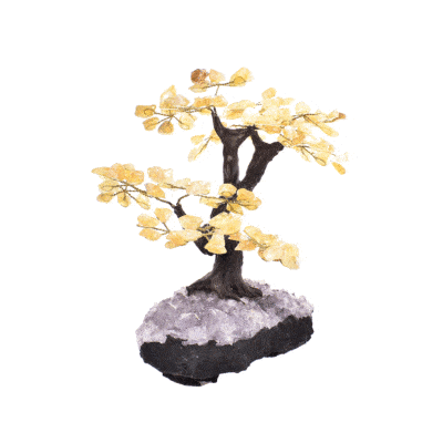 Handmade 23cm tree with leaves of natural baroque citrine quartz gemstones and natural, raw amethyst gemstone base. Buy online shop.
