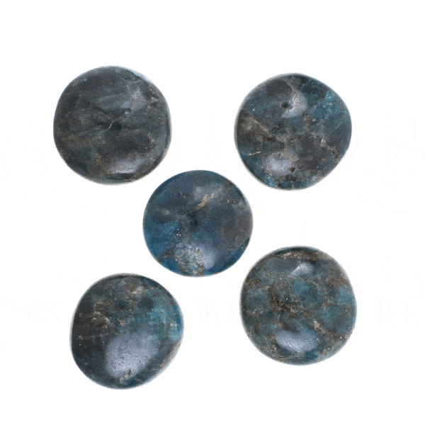 Tumbled, natural apatite gemstones, ranging from 2.5cm to 3cm. Buy online shop.