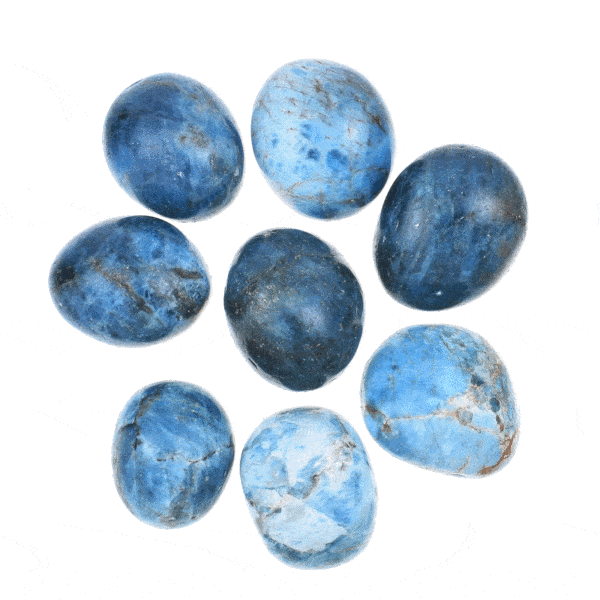 Tumbled, natural apatite gemstones, ranging from 2cm to 3cm. Buy online shop.