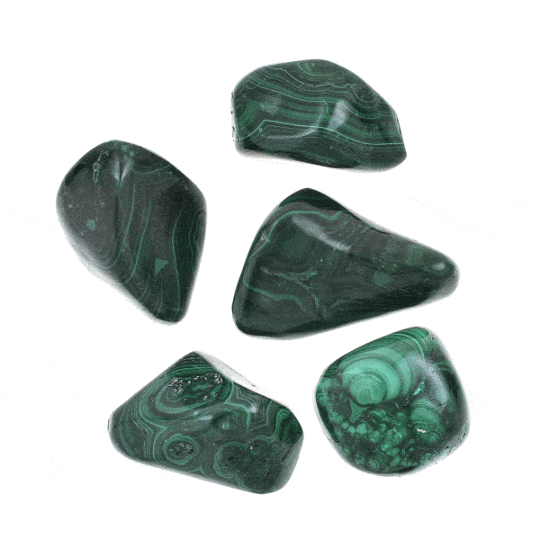 Tumbled, natural malachite gemstones, ranging from 2.5cm to 4cm. Buy online shop.