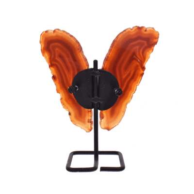 Butterfly with wings of polished slices of natural brown agate gemstone and black metallic body. The butterfly has a height of 14m.