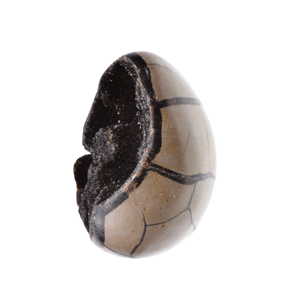 Natural 10cm septarian nodule from Madagascar, which comes with a transparent plexiglass base.