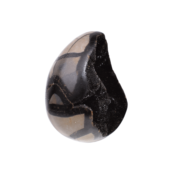 Natural 10cm septarian nodule from Madagascar, which comes with a transparent plexiglass base.